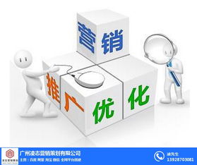 凌志營銷策劃 番禺區(qū)營銷型網(wǎng)頁建設與軟件開發(fā)，優(yōu)質商家首選